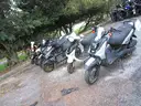 Gas Powered Mopeds - Lot of 6