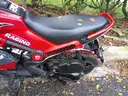 Gas Powered Mopeds - Lot of 6