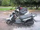 Gas Powered Mopeds - Lot of 6