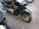 Gas Powered Mopeds - Lot of 6