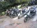 Gas Powered Mopeds - Lot of 6