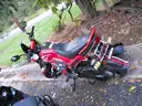 Gas Powered Mopeds - Lot of 6