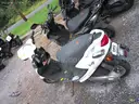 Gas Powered Mopeds - Lot of 6