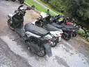 Gas Powered Mopeds - Lot of 6