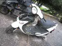 Gas Powered Mopeds - Lot of 6