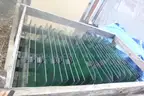 Proterra or Circulator side bus windows  - 26 units