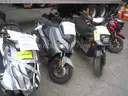 Gas Powered Mopeds - Lot of 4