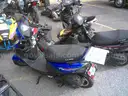 Gas Powered Mopeds - Lot of 5