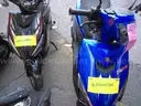 Gas Powered Mopeds - Lot of 5