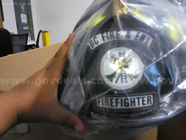FIRE DEPARTMENT HELMETS (10 UNITS)