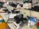 Lot of 9 microscopes and 1 Pentax camera with eyepieces attached