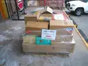 Children's Books - 20 BOXES  ON SKID