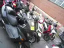 Gas Powered Mopeds - Lot of 5