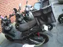 Gas Powered Mopeds - Lot of 6