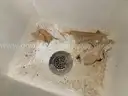 Utility Sink