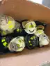 Fire Fighter Helmets  (16 units)