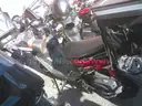 Gas Powered Mopeds - Lot of 5