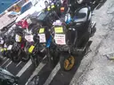 Gas Powered Mopeds - Lot of 5