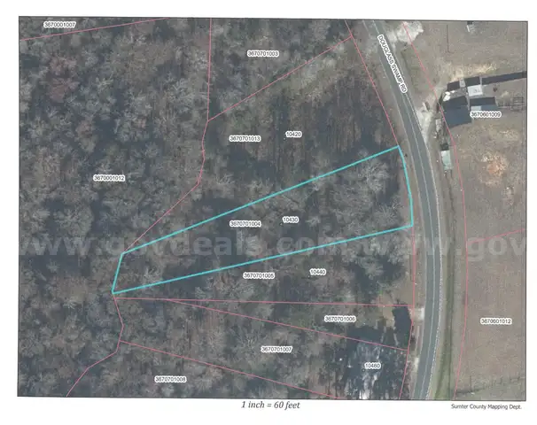 REAL PROPERTY - 10430 DOUGLAS SWAMP RD, LYNCHBURG, SC