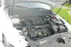 2019 Ford Taurus