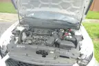 2019 Ford Taurus