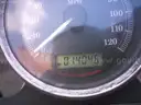 2008 Harley-Davidson XL883