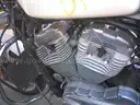 2008 Harley-Davidson XL883