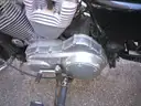 2008 Harley-Davidson XL883