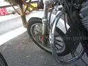 2008 Harley-Davidson XL883