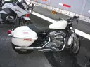 2008 Harley-Davidson XL883