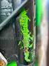 Dirt Bikes  -  (3 Units) No Titles, Bill of Sale Only