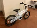Bicycles lot of 10