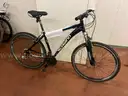 Bicycles lot of 10