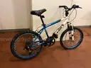 Bicycles lot of 10
