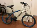 Bicycles lot of 10