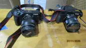 Digital camera - 2 ea