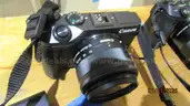 Digital camera - 2 ea