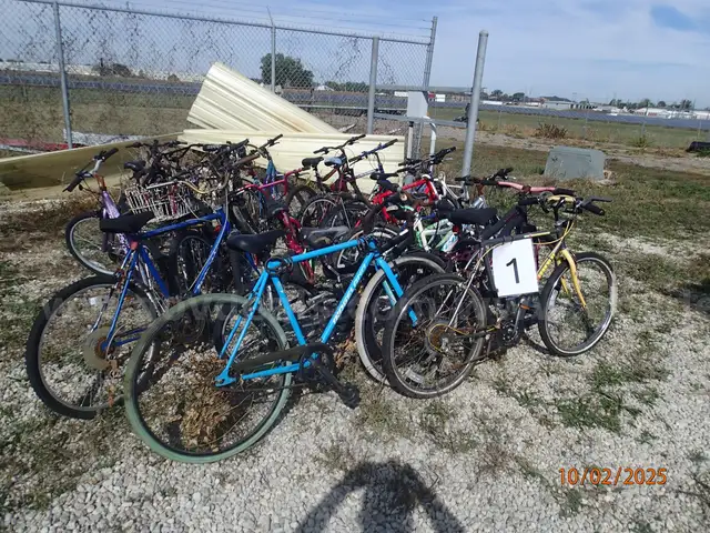 20 Bicycles- Group 1