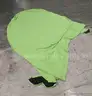 Green Screen with Stand &#x26; Studio Lights