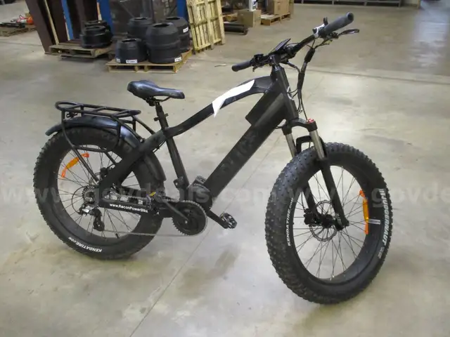 ELECTRIC BIKE (SURPLUS)
