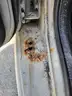 2001 Dodge Ram Van