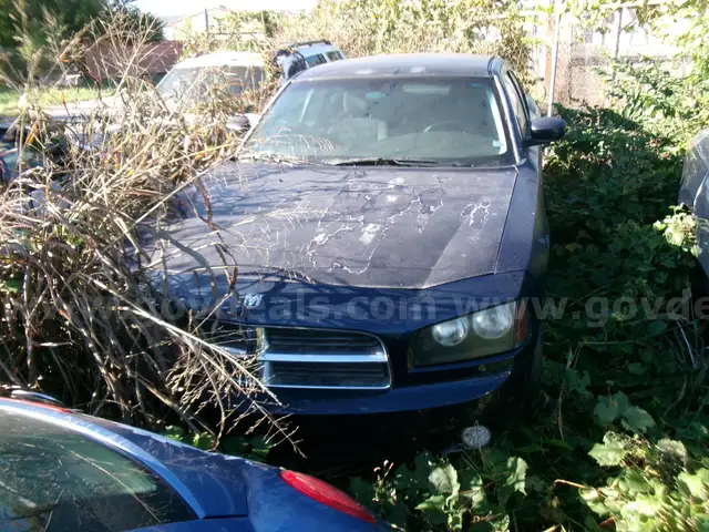 2006 Dodge Charger