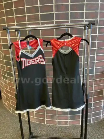 Dance Costumes - Tigers Dresses, 15 items