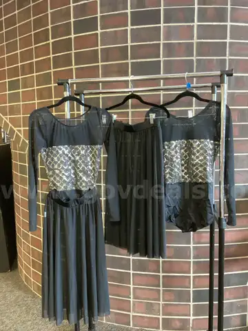 Dance Costumes - Gray Leotards + Mesh Skirts, 18 items