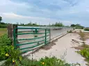 Cattle Cement Feeders