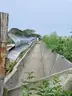 Cattle Cement Feeders