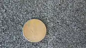 Lot of 348 Miscellaneous Collectible Coins