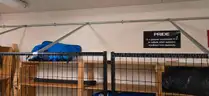 Black Kennel Cage (6 Panels total)