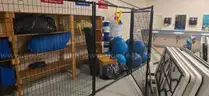 Black Kennel Cage (6 Panels total)
