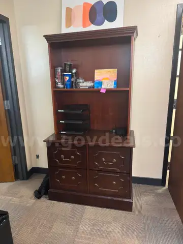 Bookcase with file cabinets